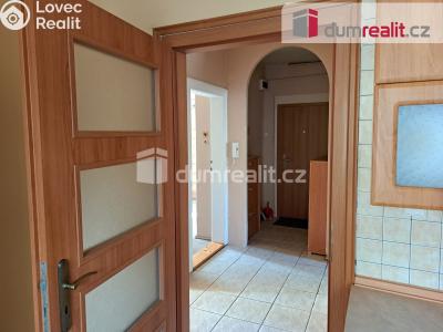 Prodej bytu 2+1 Ústí nad Labem, Alešova 690 č. 11