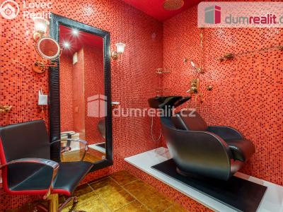 Prodej bytu 5+1 Karlovy Vary, nábřeží Jana Palacha 938 č. 25