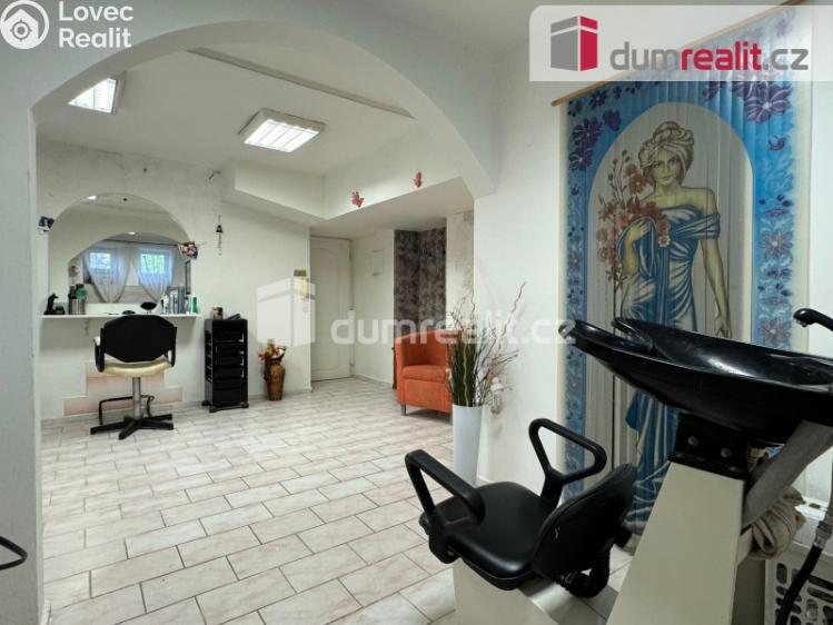 Prodej obchodního prostoru Ostrov, Borecká 890 č. 3