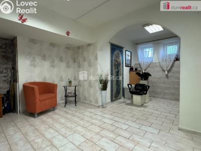 Prodej obchodního prostoru Ostrov, Borecká 890 č. 4