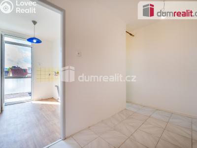 Prodej bytu 2+1 Lhenice, Netolická 272 č. 3