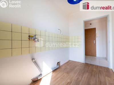 Prodej bytu 2+1 Lhenice, Netolická 272 č. 7