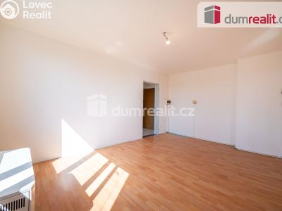 Prodej bytu 2+1 Lhenice, Netolická 272 č. 14