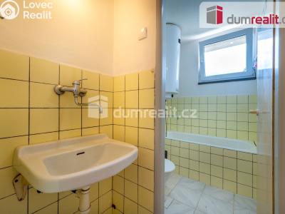 Prodej bytu 2+1 Lhenice, Netolická 272 č. 15