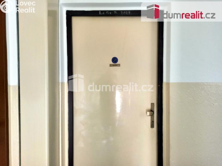 Pronájem bytu 1+KK Ostrov, Lidická 1253 č. 4