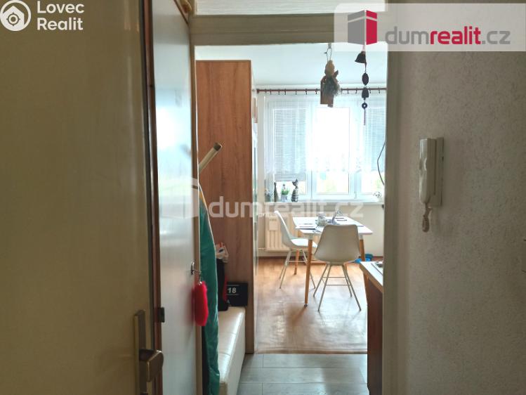 Pronájem bytu 1+KK Ostrov, Lidická 1253 č. 5