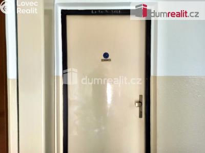 Pronájem bytu 1+KK Ostrov, Lidická 1253 č. 4