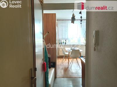 Pronájem bytu 1+KK Ostrov, Lidická 1253 č. 5