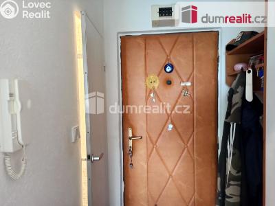 Pronájem bytu 1+KK Ostrov, Lidická 1253 č. 6