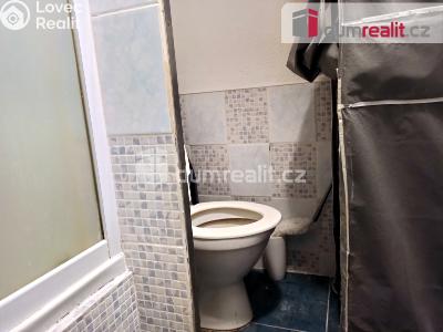 Pronájem bytu 1+KK Ostrov, Lidická 1253 č. 8