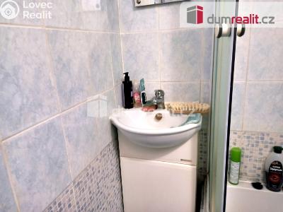 Pronájem bytu 1+KK Ostrov, Lidická 1253 č. 9