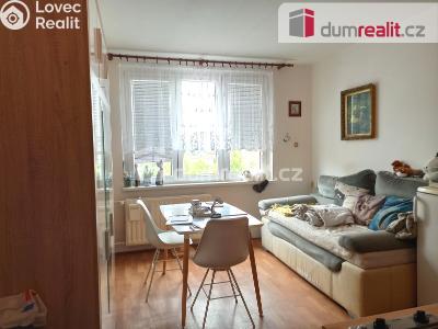 Pronájem bytu 1+KK Ostrov, Lidická 1253 č. 10