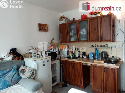 Pronájem bytu 1+KK Ostrov, Lidická 1253 č. 11