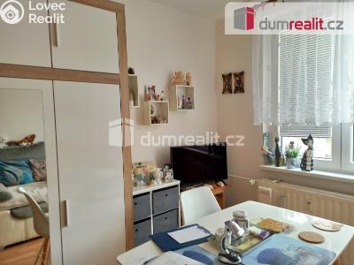 Pronájem bytu 1+KK Ostrov, Lidická 1253 č. 12