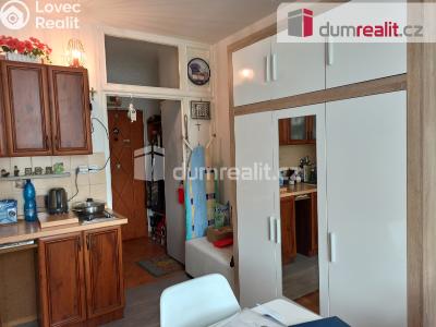 Pronájem bytu 1+KK Ostrov, Lidická 1253 č. 13