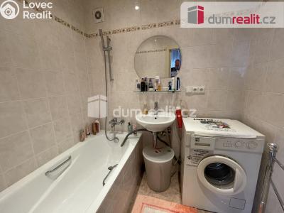 Pronájem bytu 1+1 Praha, Limuzská 528 č. 2