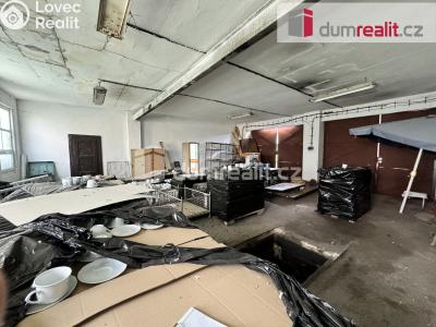 Prodej výrobní haly Krásný Dvůr č. 20