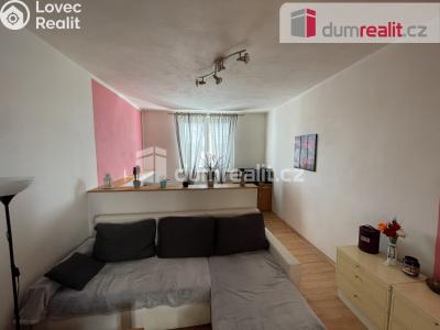 Pronájem bytu 2+1 Příbram, Pod Čertovým pahorkem 463 č. 2