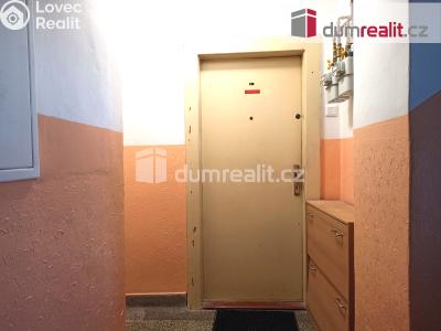 Pronájem bytu 2+1 Ostrov, Hlavní třída 736 č. 9