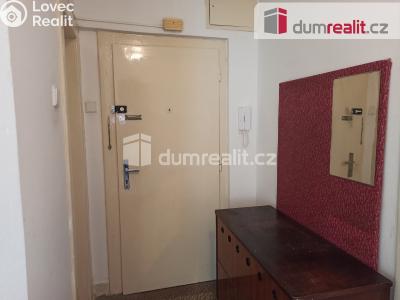 Pronájem bytu 2+1 Ostrov, Hlavní třída 736 č. 10