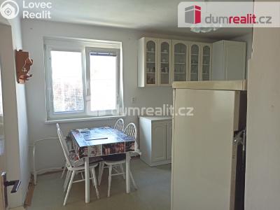 Pronájem bytu 2+1 Ostrov, Hlavní třída 736 č. 12