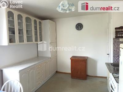 Pronájem bytu 2+1 Ostrov, Hlavní třída 736 č. 13