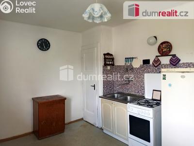 Pronájem bytu 2+1 Ostrov, Hlavní třída 736 č. 14