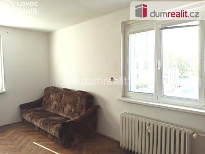 Pronájem bytu 2+1 Ostrov, Hlavní třída 736 č. 17