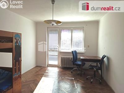 Pronájem bytu 2+1 Ostrov, Hlavní třída 736 č. 19