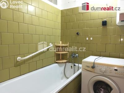 Pronájem bytu 2+1 Ostrov, Hlavní třída 736 č. 21