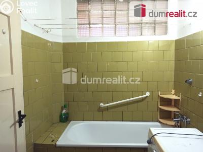 Pronájem bytu 2+1 Ostrov, Hlavní třída 736 č. 23