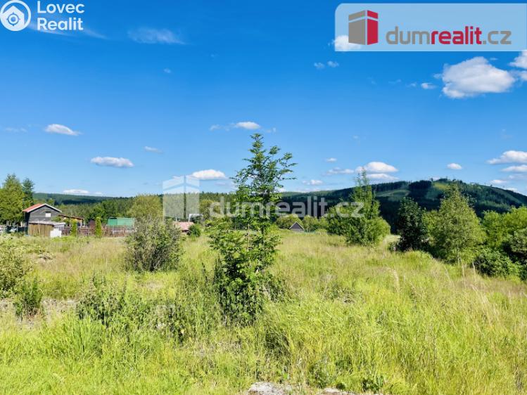 Prodej stavebního pozemku Abertamy, ČSA 0 č. 5