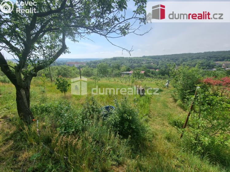 Pronájem pozemku Nelahozeves, Školní 78 č. 1