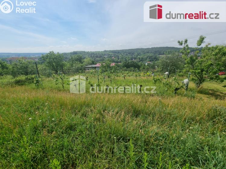 Pronájem pozemku Nelahozeves, Školní 78 č. 3