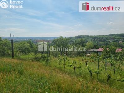 Pronájem pozemku Nelahozeves, Školní 78 č. 6