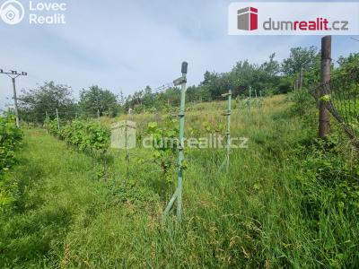 Pronájem pozemku Nelahozeves, Školní 78 č. 11