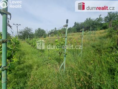 Pronájem pozemku Nelahozeves, Školní 78 č. 12