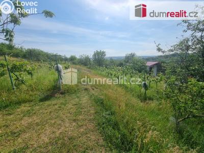 Pronájem pozemku Nelahozeves, Školní 78 č. 13