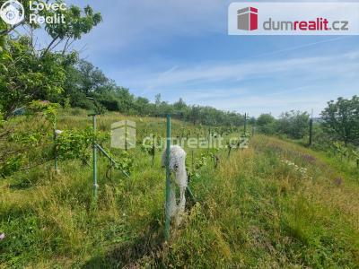 Pronájem pozemku Nelahozeves, Školní 78 č. 15