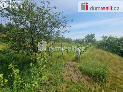 Pronájem pozemku Nelahozeves, Školní 78 č. 17