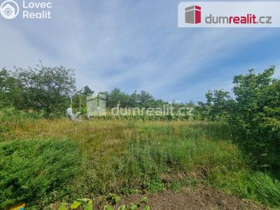 Pronájem pozemku Nelahozeves, Školní 78 č. 18