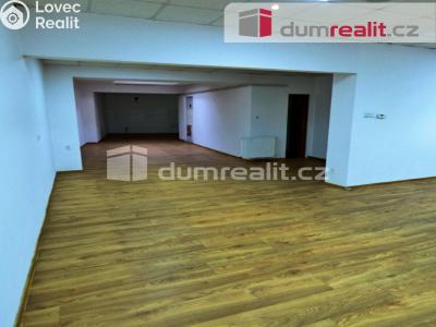 Pronájem rodinného domu Roudnice nad Labem, Prokopova 1276 č. 3