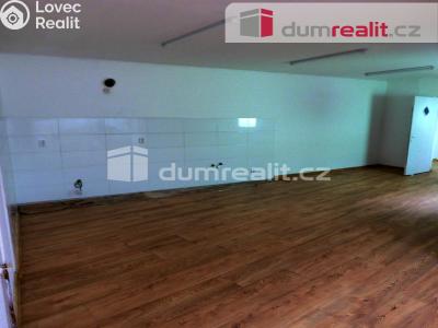 Pronájem rodinného domu Roudnice nad Labem, Prokopova 1276 č. 4