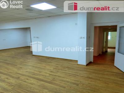 Pronájem rodinného domu Roudnice nad Labem, Prokopova 1276 č. 6