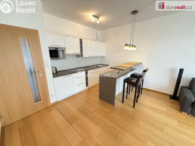 Pronájem bytu 1+KK Praha, Nuselská 1545 č. 3