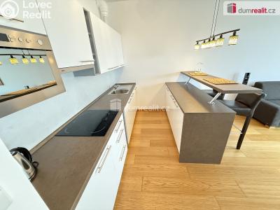 Pronájem bytu 1+KK Praha, Nuselská 1545 č. 2