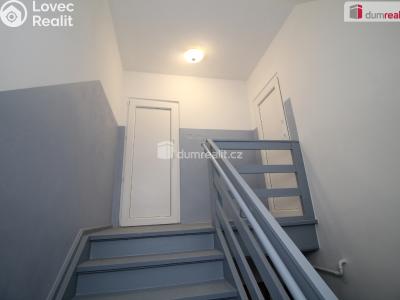 Prodej bytu 2+1 Cheb, Riegerova 1076 č. 16