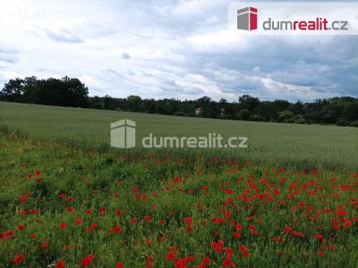Prodej stavebního pozemku Čimelice č. 7
