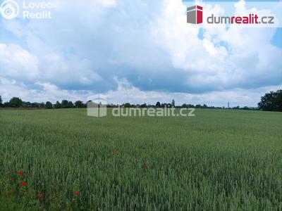 Prodej stavebního pozemku Čimelice č. 8