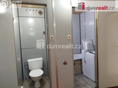 Pronájem bytu 2+1 Ostrov, Severní 1339 č. 13